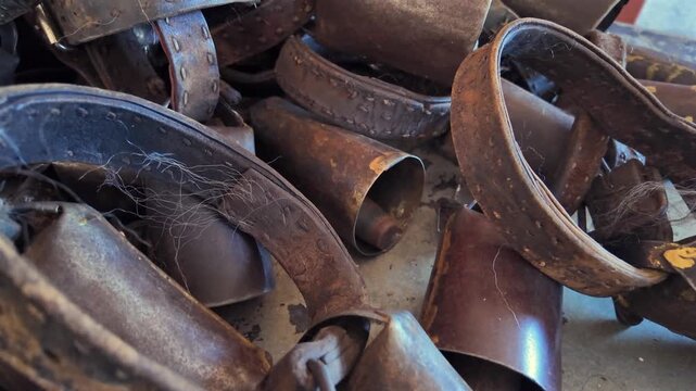 Close up of numerous old, rusty cowbells with leather collars piled together. Authentic rustic farming equipment showing wear and tradition