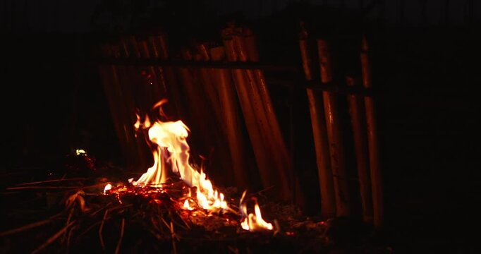 Cooking sticky rice in bamboo khao lam preparation outdoor fire culinary tradition nighttime