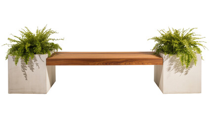 Modern minimalist wooden bench with natural grain texture supported by two square light gray concrete planters each filled with vibrant green Boston ferns © Finn