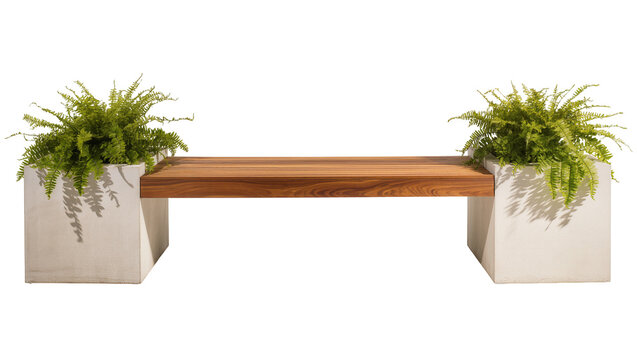 Modern minimalist wooden bench with natural grain texture supported by two square light gray concrete planters each filled with vibrant green Boston ferns