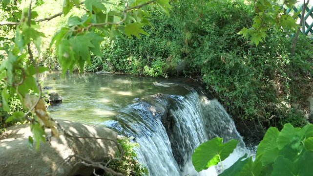 Small waterfall flowing through dense green vegetation in nature.
