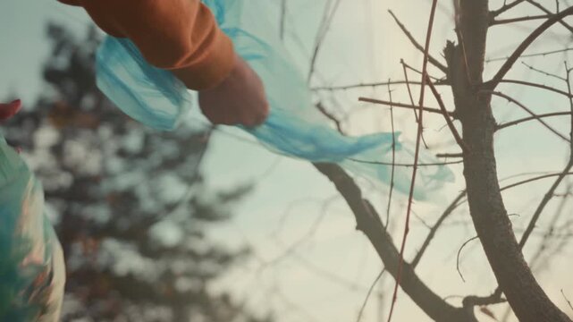 Dedicated volunteer in bright clothing gently untangles debris caught among tree branches at sunrise