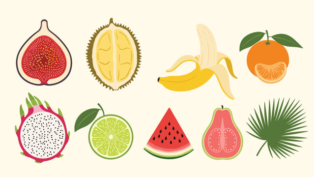 Collection of various fresh tropical fruits including fig durian banana and orange is shown in a colorful flat illustration style.