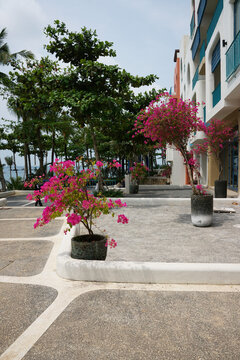 Picturesque narrow street in village on Island, with whitewashed walls, blue shutters, blooming bougainvillea, and a cozy Mediterranean atmosphere.