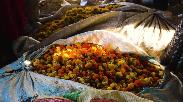 Bulk marigold flowers in sack at Indian market &ndash; fresh orange flowers for festival and decoration