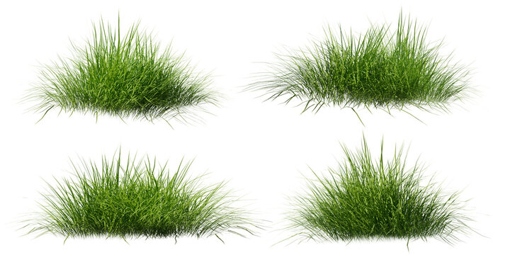 Isolated Green Grass Tufts For Landscape And Nature Design