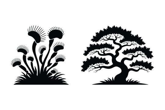 Venus flytrap and bonsai tree silhouette vector art