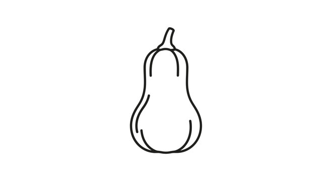 Clean minimalist vector outline of a delicious healthy butternut squash vegetable icon