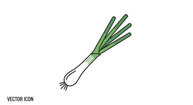 Fresh spring onion illustration for culinary design projects featuring a simple graphic style