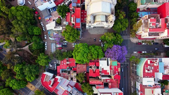 Drone footage of jacaranda season in Mexico City urban landscape