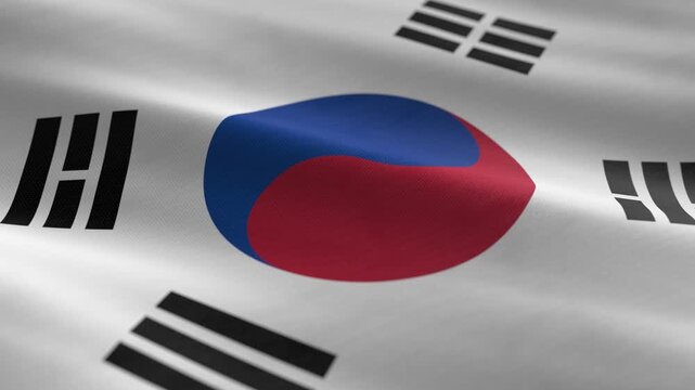 South Korea - waving flag loop