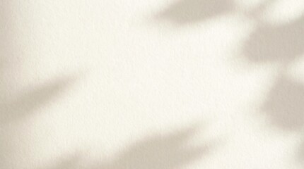 Obraz premium White paper texture background with soft shadows minimal design 1