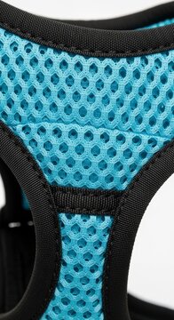 Close-up of blue dog harness.