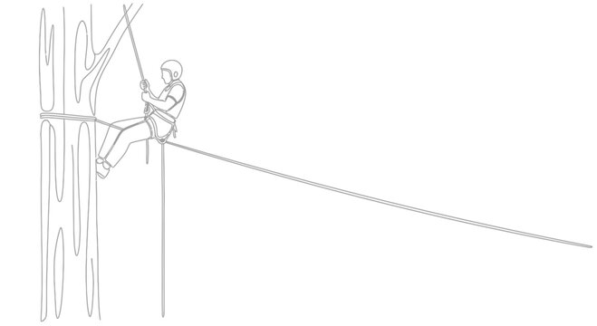 Continuous sketch of a daring person expertly rappelling down a large tree trunk outdoor