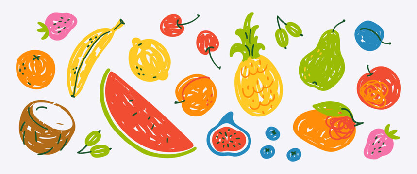 Colorful bright set of fruits and berries: coconut, pineapple, mango, watermelon, pear; food collection; drawing, sketch; simple cute vector illustration, hand-drawn with brush strokes in flat style