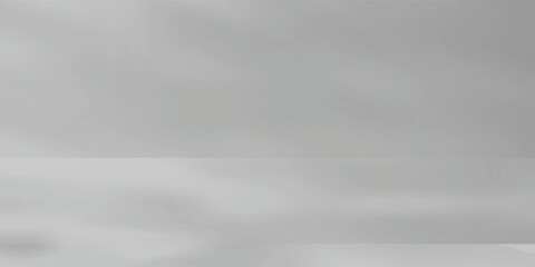 Obraz premium Abstract soft grey studio background stage with soft tree leaf shadows for product mockup display eps10