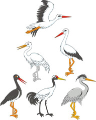 Fototapeta premium Vector cartoon set of storks, cranes and herons
