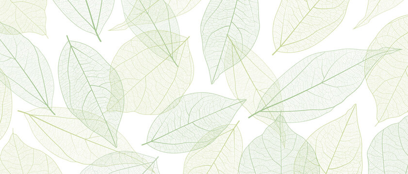 Leaf vein skeleton texture abstract background with close up plant leaf cells ornament texture pattern. Black and white organic macro linear background of nature leaf foliage vector illustration.