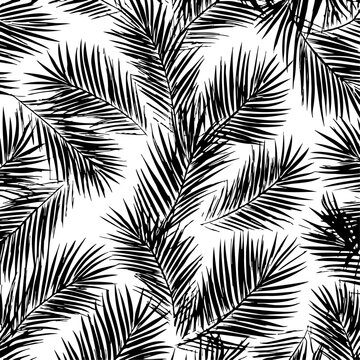 Black and white silhouette pattern of overlapping palm fronds creating dense tropical foliage texture for seamless repeating background design