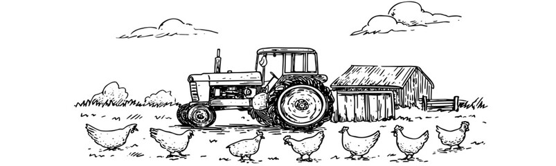 Obraz premium Hand-drawn illustration of rural farmyard with vintage tractor, wooden barn, and free-range chickens for agricultural branding and country lifestyle concepts