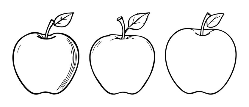 Apple fruit healthy icon set with minimalist line art and flat colors featuring apple, fruit, icon with line art and flat colors