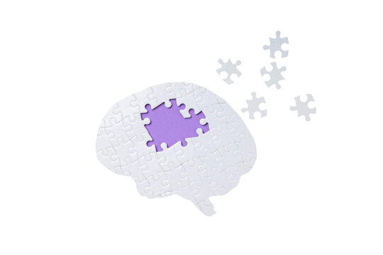 Puzzle pieces form a brain shape gap, isolated on white, PNG