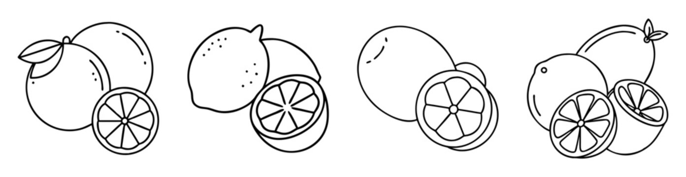 Black and white vector illustration of lemons and lemon slices line art