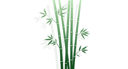 Fototapeta premium Vibrant green bamboo stalks with leaves on white background
