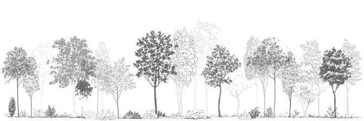 Architectural CAD Tree Line Drawing Set, Minimal Style Wetland Forest Section Outline, Side View Landscape Design Elements, Vector Illustration © LEECOO