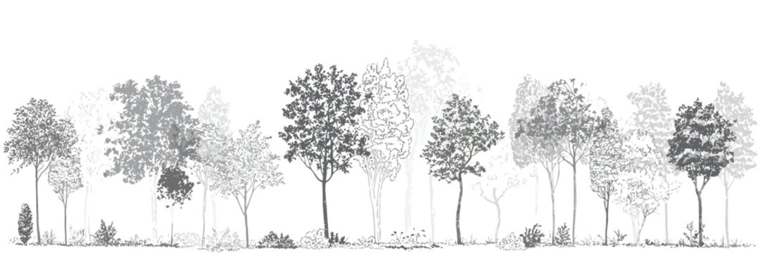 Architectural CAD Tree Line Drawing Set, Minimal Style Wetland Forest Section Outline, Side View Landscape Design Elements, Vector Illustration