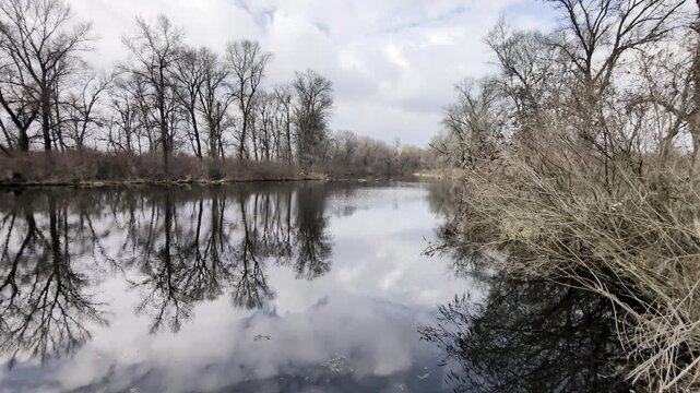 Quiet river backwater with sunlight and bare trees in spring