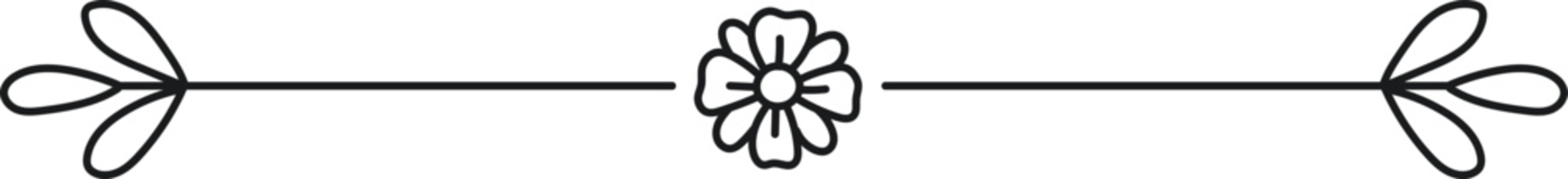 Decorative divider element. Border florish element. Vector design.