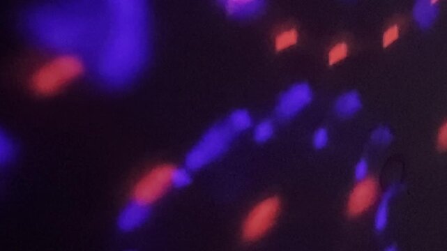 licht blau rot