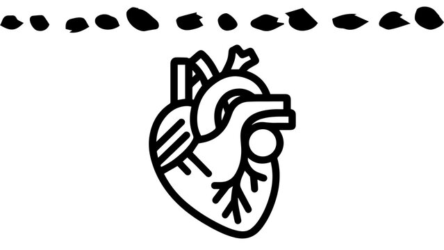 Anatomical Human Heart Line Art Icon with Decorative Dotted Border