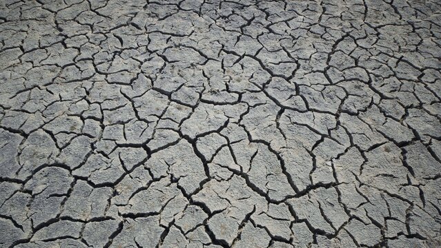Dry cracked soil forming a beautiful pattern due to the lack of water in the sivash lake near the arabat spit in crimea
