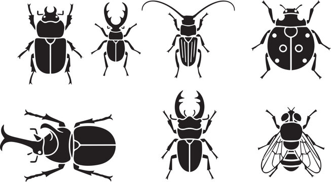 Insects and Beetles Silhouette Icon Set: Ladybug, Stag Beetle, Fly, and Rhino Beetle