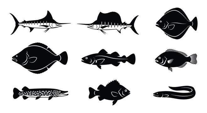Swordfish and Flatfish Silhouette Set &mdash; Black Vector Illustrations of Marlin, Sailfish, Flounder, Halibut, and Eel for Marine and Fishing Design