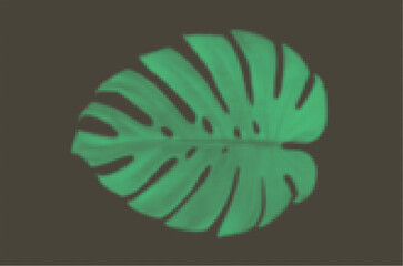 Green monstera leaf illustration on dark background, tropical plant foliage graphic element © iamse7en