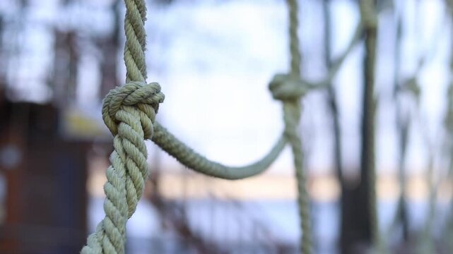 A complex knot of thick ropes, which is part of the structure of a rope park. In the background, wooden platforms on trees and other elements of the attraction are visible. An open-air rope park