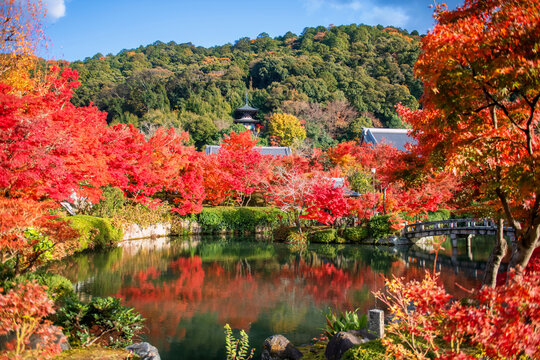 Eikando  pagoda on mountain by autumn leaf garden, Kyoto