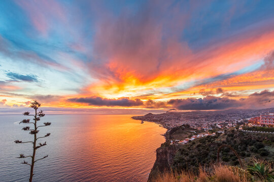 Sunset view of Funchal coast and Agave americana from Miradouro do Pin�culo