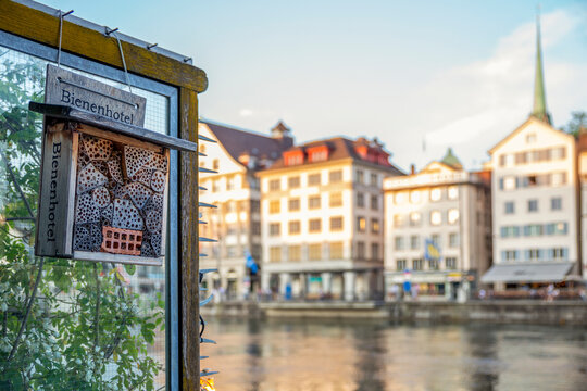 Insect hotel on river Limmat waterfront in Zurich at sunset