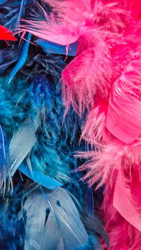 Decorative feathers for clothing and costume design, pink blue texture. Concept: arnival costume materials