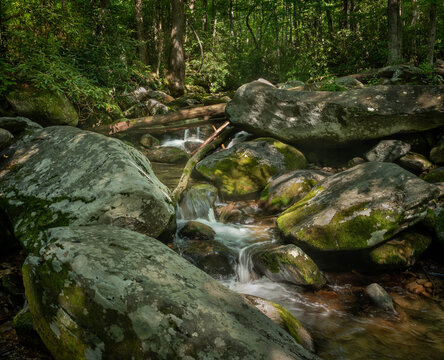 View of the creek flowing swiftly over moss-covered rocks, with sunlight dappling through the dense forest canopy, Gatlinburg, Tennessee, United States.
