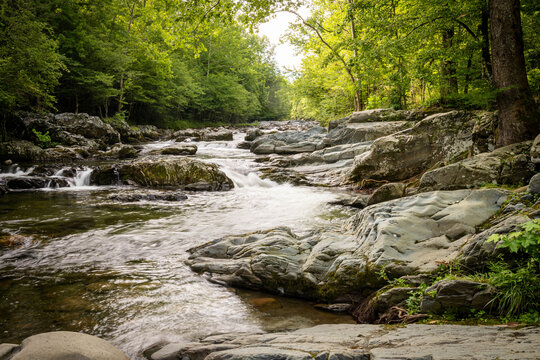 View of a rushing river cascades over smooth, grey rocks, framed by lush green trees in a vibrant forest, Gatlinburg, Tennessee, United States.