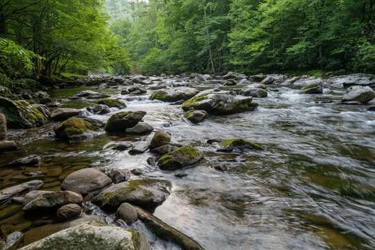 View of a rushing river tumbles over moss-covered rocks, framed by the lush green canopy of trees in the surrounding forest, Gatlinburg, Tennessee, United States.