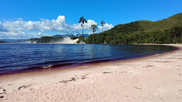Panoramic dolly in of three moriche palms submerged in Canaima Lagoon, with a curiara on the sand and El Hacha Falls in the background, Canaima National Park, Venezuela