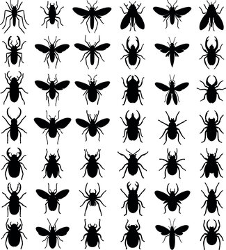  Black silhouette vector illustration of diverse insects including spiders, flies, beetles, ants, arranged in grid symbolizing classification concept