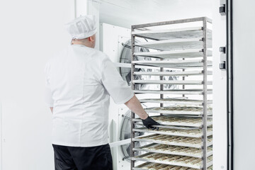 Male pastry chef in confectionery industry places puff pastry buns in freezer for shock freezing