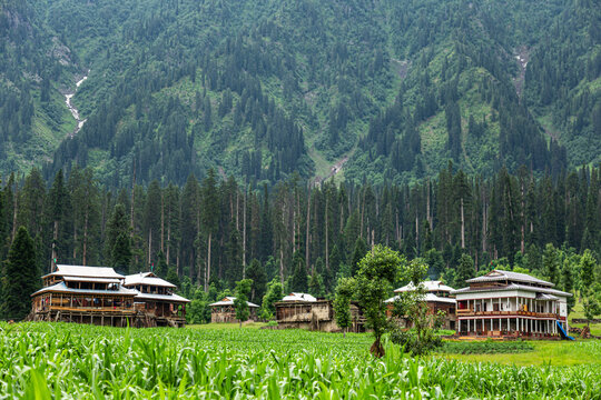 View of a lush, green valley cradling rustic wooden houses against a backdrop of towering, pine-covered mountains, a serene escape into nature's embrace, Arang Kel, Azad Kashmir, Pakistan.
